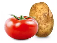 TomTato kweken