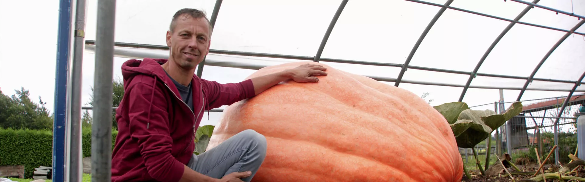 Arnold’s missie voor de Grootste Pompoen van Nederland