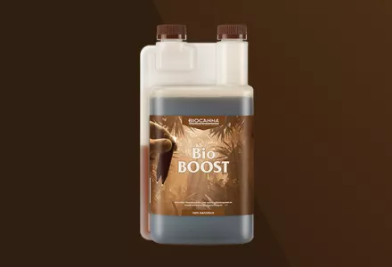 BioBOOST