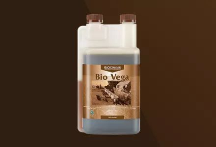 Bio Vega