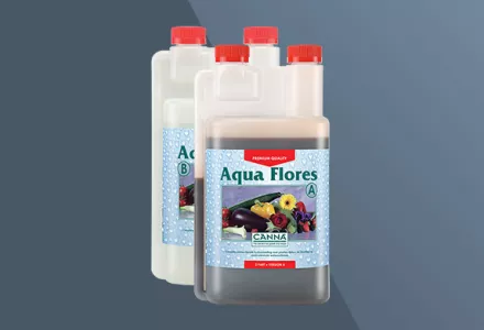 CANNA Aqua Flores