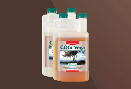 CANNA COGr Vega