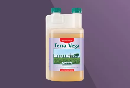 CANNA Terra Vega