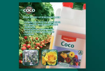 CANNA COCO folder