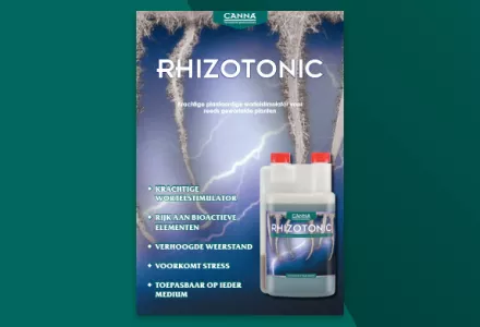 CANNA RHIZOTONIC folder