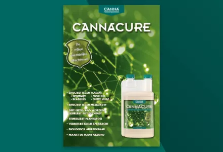 CANNACURE folder