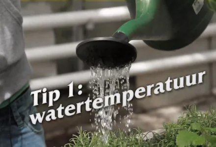 Afl. 1 Watertemperatuur - Tips & Tricks door Kees