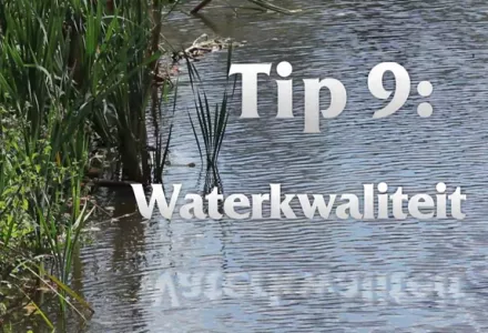 Afl. 9 Waterkwaliteit - Tips & Tricks door Kees