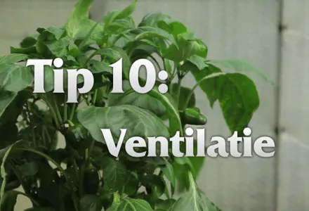 Afl. 10 Ventilatie - Tips & Tricks door Kees