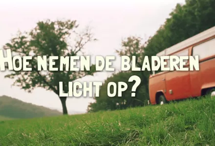 Afl. 2 Hoe nemen de bladeren licht op? - Tips & Tricks door Bart