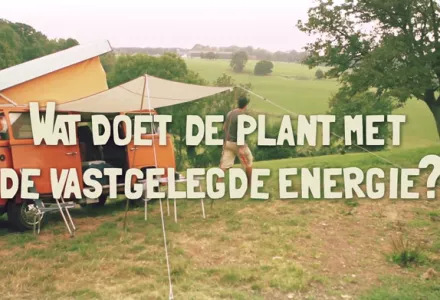 Afl. 3 Wat doet de plant met de vastgelegde energie? - Tips & Tricks door Bart