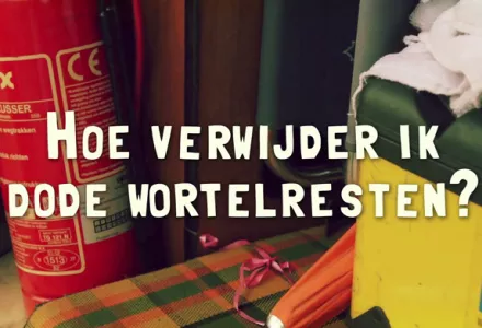 Afl. 5 Hoe verwijder ik dode wortelresten? - Tips & Tricks door Bart