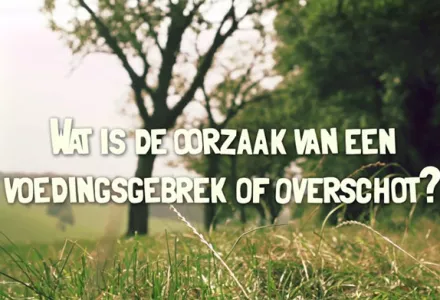 Afl. 6 Wat is de oorzaak van een voedingsgebrek of -overschot? - Tips & Tricks door Bart