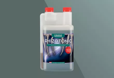 CANNA RHIZOTONIC