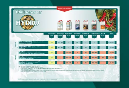 Chilipeper kweekschema CANNA HYDRO