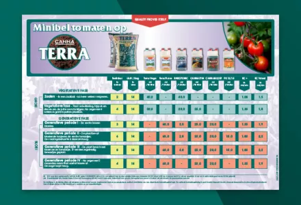 Minibeltomaat kweekschema CANNA TERRA