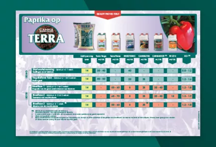 Paprika kweekschema CANNA TERRA