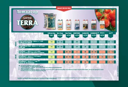 Tomaat kweekschema CANNA TERRA