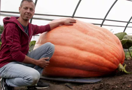 Arnold’s missie voor de Grootste Pompoen van Nederland