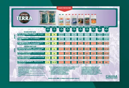 CANNA TERRA Kweekschema