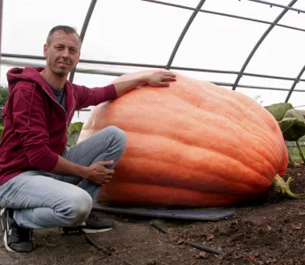 Arnold’s missie voor de Grootste Pompoen van Nederland